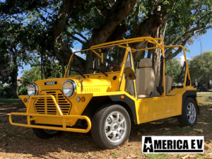 golf cart financing, port saint lucie golf cart financing, easy cart financing