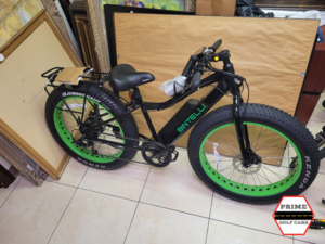 e-bike rental, electric bike for sale, electric bicycle